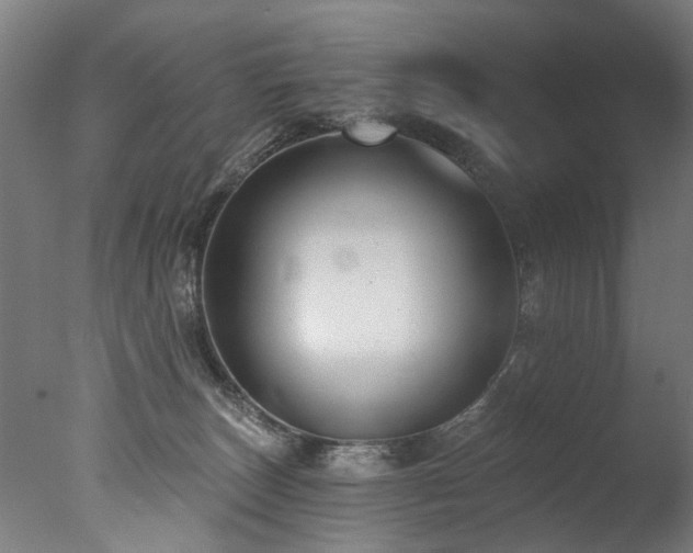 X0000077310179200610201203