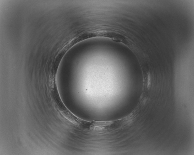 X0000077310180200610201203