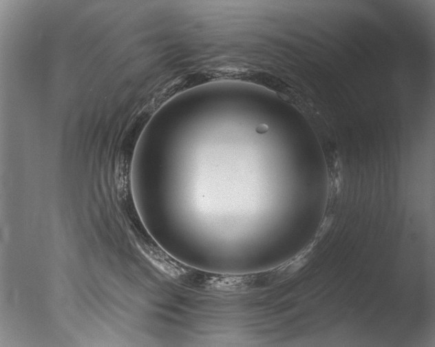 X0000077310186200610201203