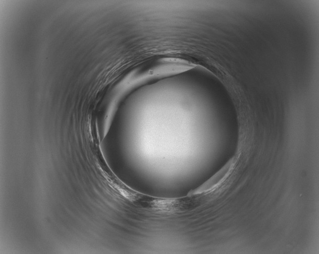 X0000077310192200610201203