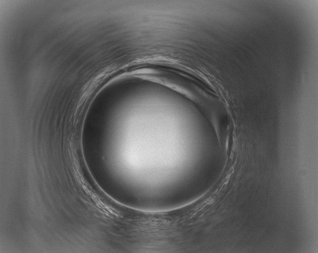 X0000077310193200610201202