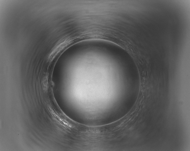 X0000077310194200610201202