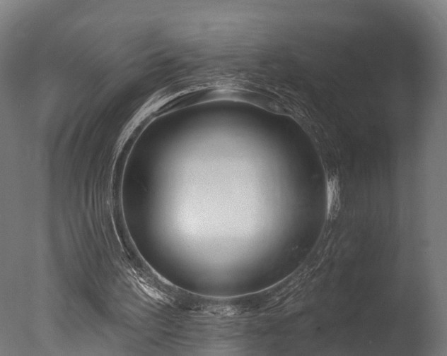 X0000077310195200610201202