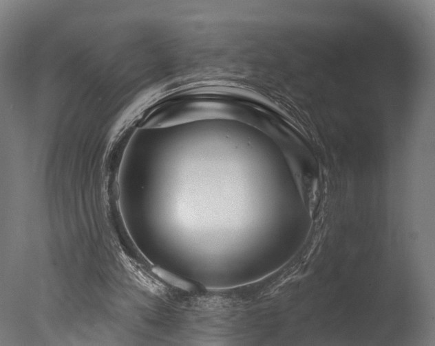 X0000077310197200610201202