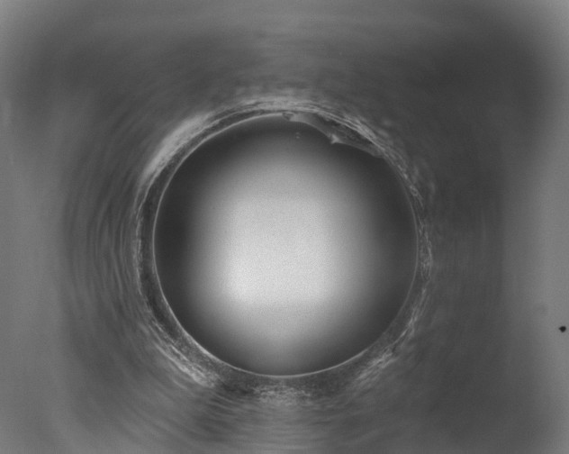 X0000077310199200610201202