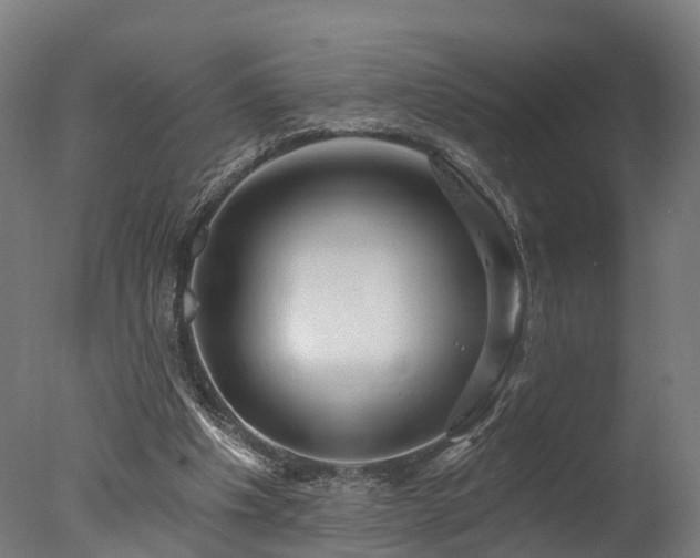X0000077310201200610201202