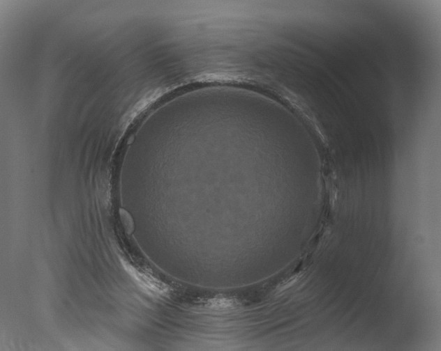 X0000077310204200610201202
