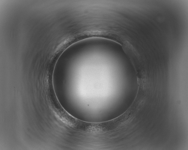 X0000077310207200610201202
