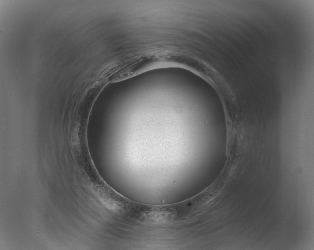 X0000077310209200610201202