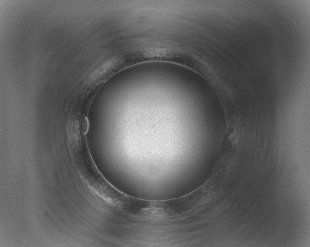 X0000077310211200610201202