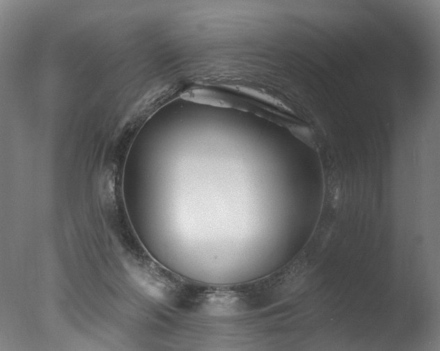 X0000077310214200610201202