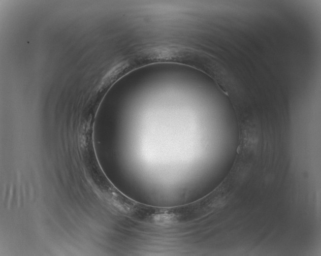 X0000077310216200610201202