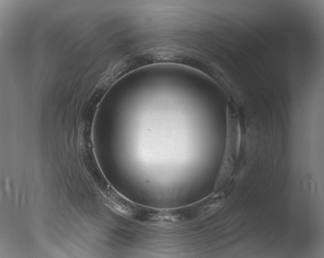 X0000077310217200610201202