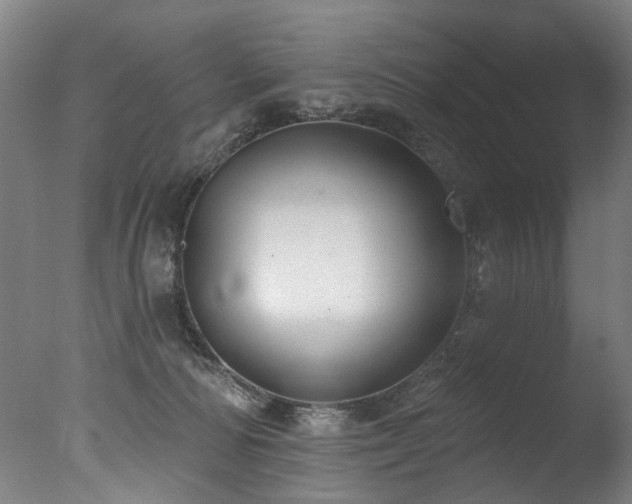 X0000077310226200610201201