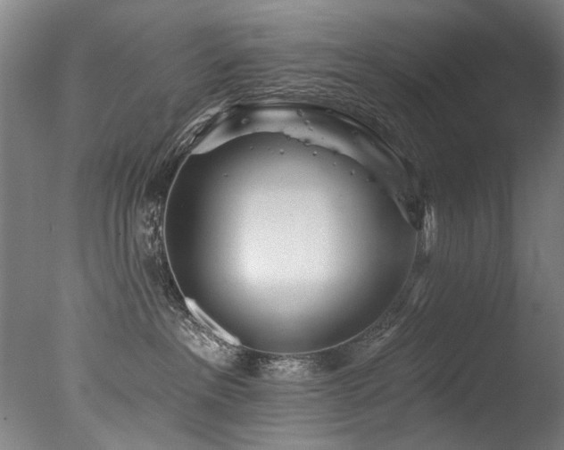 X0000077310237200610201201