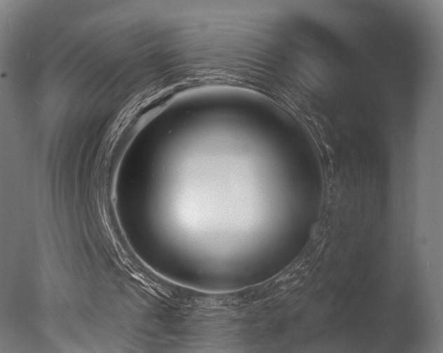 X0000077310241200610201200