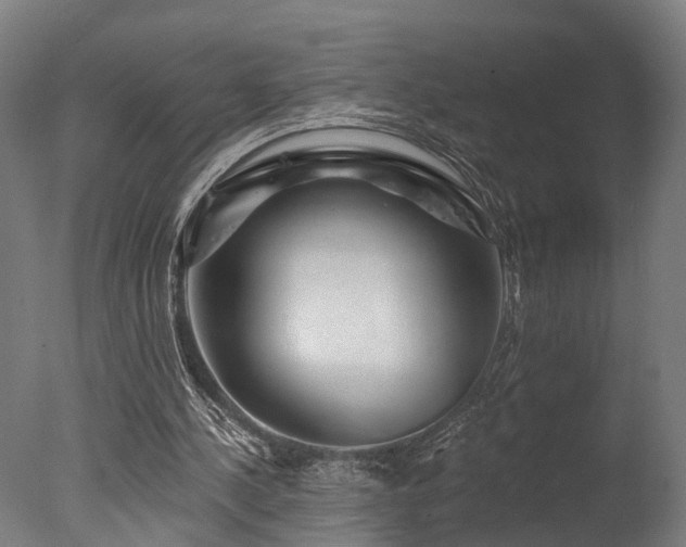 X0000077310244200610201200