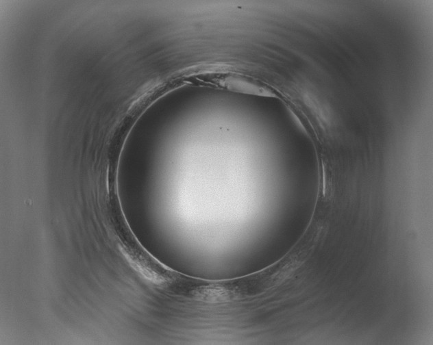 X0000077310253200610201201