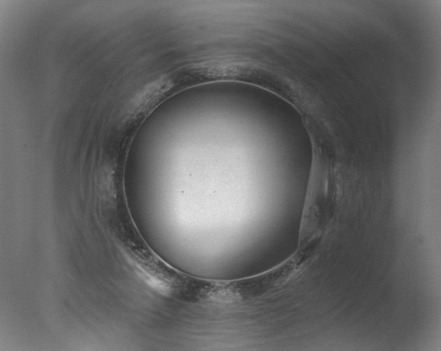 X0000077310258200610201201