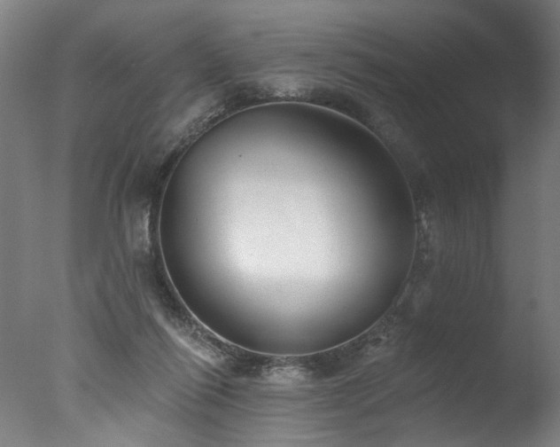 X0000077310262200610201201