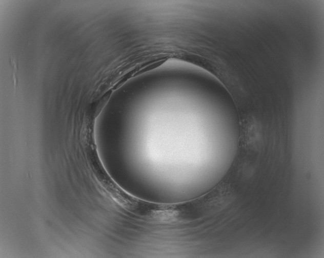 X0000077310266200610201201