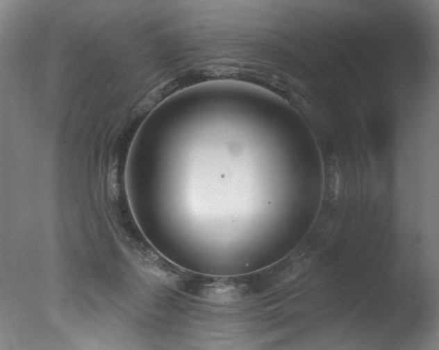 X0000077310267200610201201