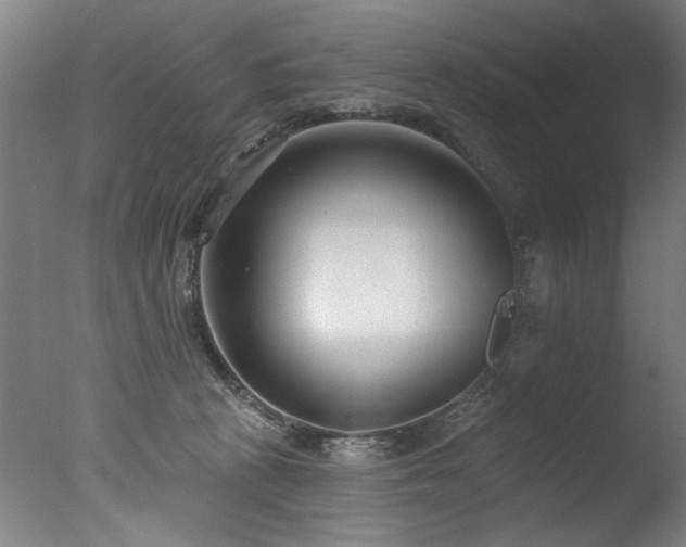X0000077310273200610201201