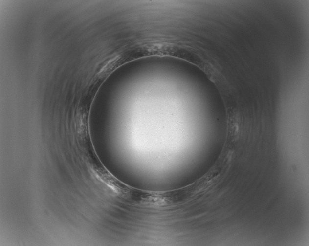 X0000077310276200610201201