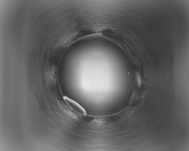 X0000077310280200610201201
