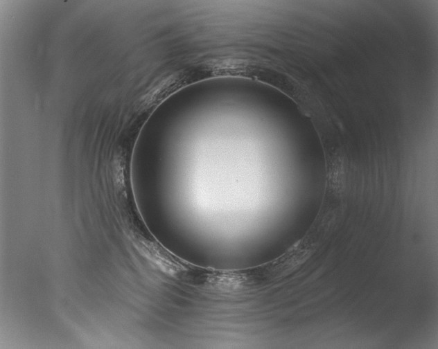 X0000077310282200610201201