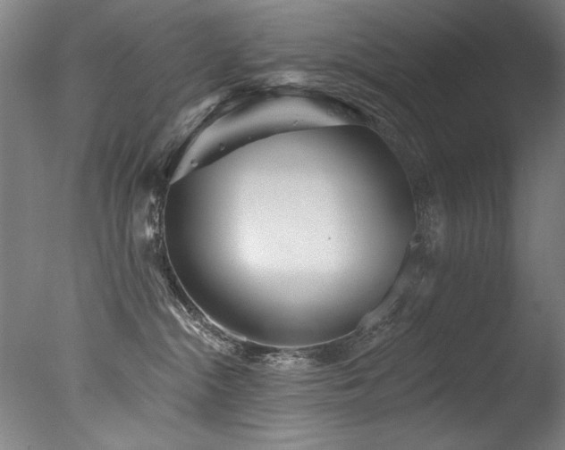 X0000077310284200610201201