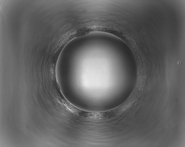 X0000077310288200610201201