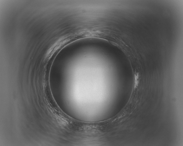 X0000077310291200610201200