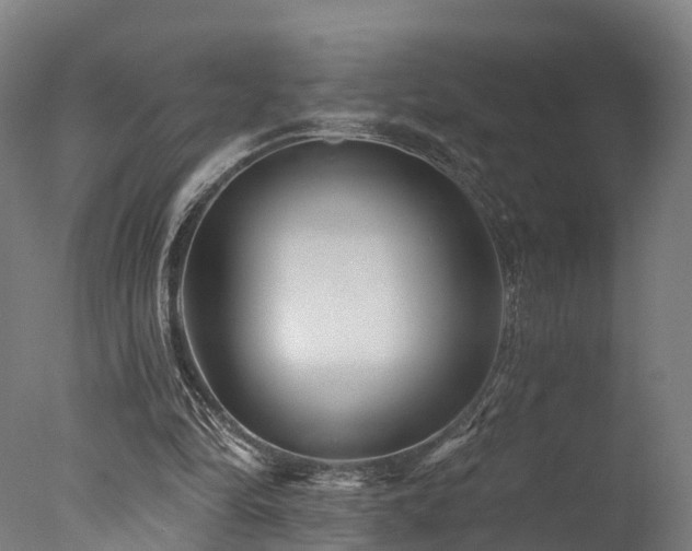 X0000077310294200610201200