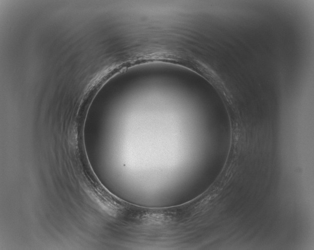 X0000077310298200610201200