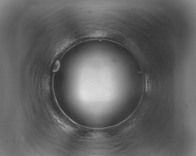 X0000077310300200610201200