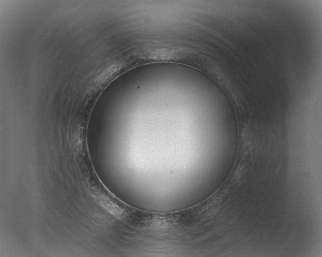 X0000077310305200610201200