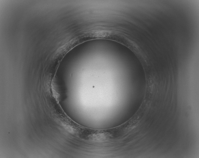 X0000077310307200610201200