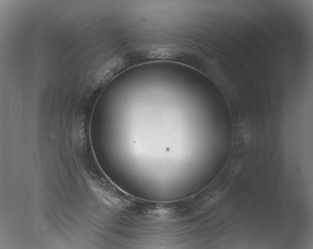 X0000077310312200610201200