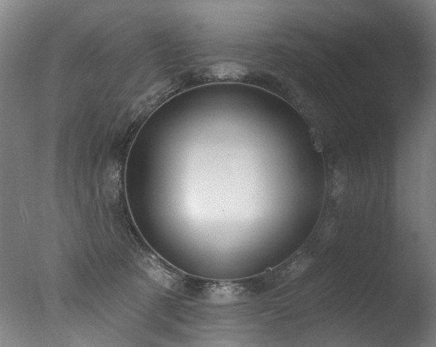 X0000077310321200610201200