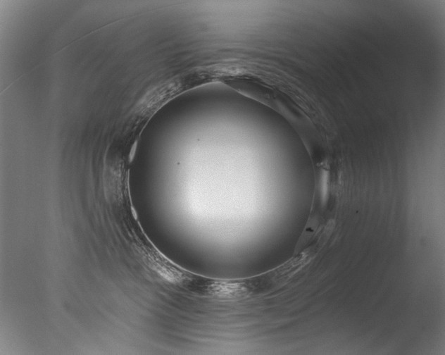 X0000077310333200610201200
