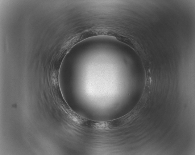 X0000077310335200610201159