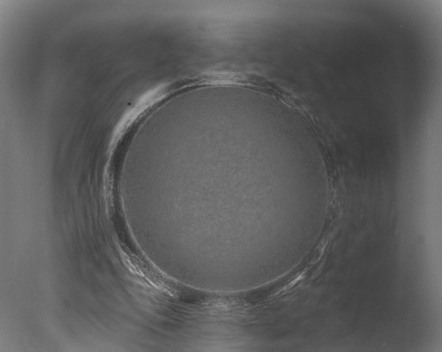 X0000077310343200610201159