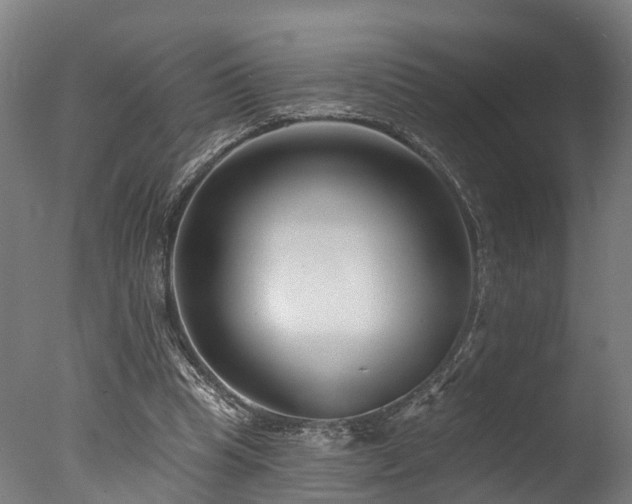 X0000077310345200610201159