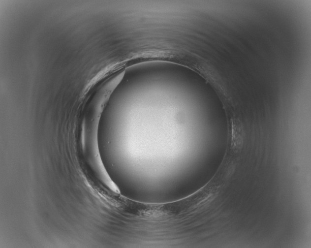 X0000077310348200610201159