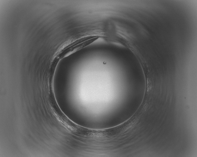 X0000077310349200610201159