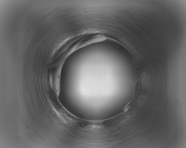 X0000077310352200610201159