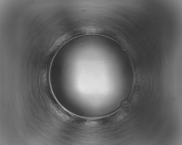 X0000077310357200610201159