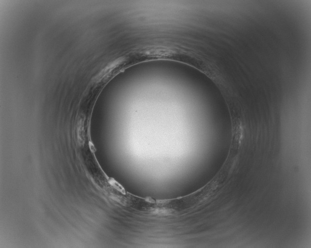 X0000077310360200610201159