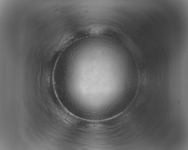 X0000077310363200610201159